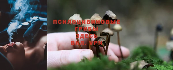 каннабис Бабаево
