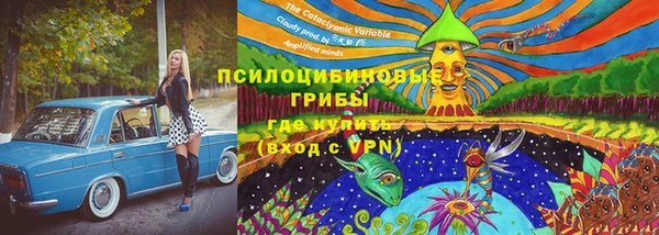 винт Ахтубинск