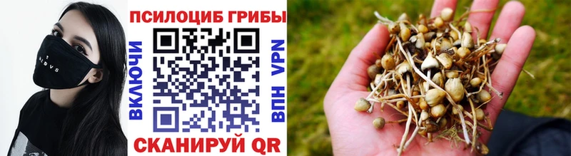 Псилоцибиновые грибы мухоморы  закладки  Ковдор 